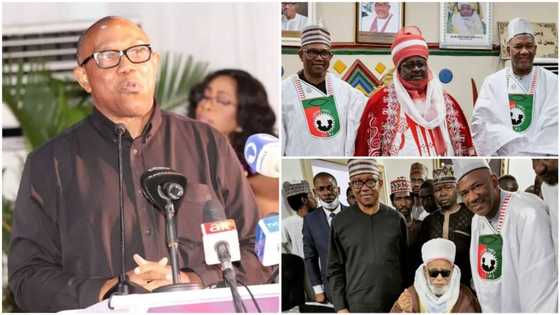 5 reasons why Labour Party’s Peter Obi will not win 2023 presidential election, Fitch report reveals