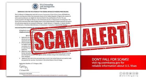 Scam alert: US Mission warns Nigerians about work e-visa and residence permit