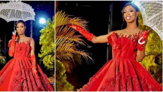 How much is the umbrella? Reactions as James Brown claims his outfit to Papaya’s birthday cost N5 million