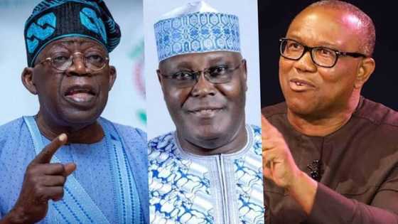 New report shows Peter Obi leading Atiku, Tinubu on followers' growth in 2022