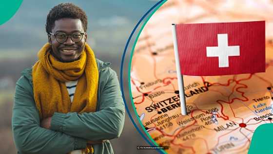 Switzerland publishes Schengen visa fees for Nigerians, reveals amount applicants will pay