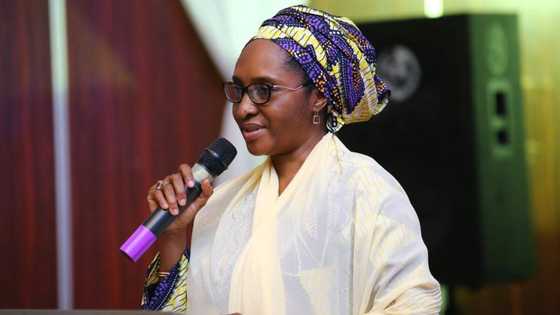 Foul play, sack loading? Senate summons Buhari's minister over unexplained spending