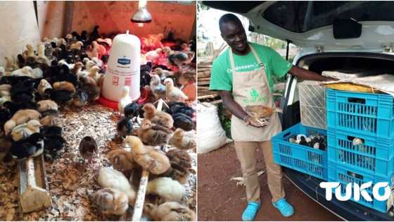 After 200 failed applications for jobs, now I earn N4.2m doing this 1 business - Young entrepreneur reveals