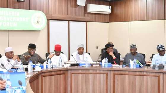 Fuel price hike: Panic as Nigerian Governors' Forum recommends new rates for petrol