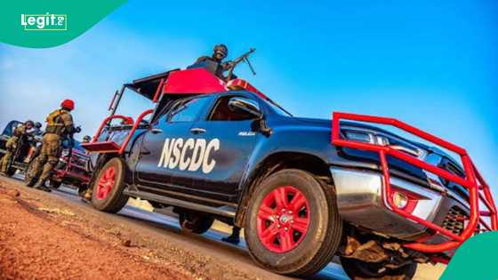 Niger miners’ deaths: Mining Marshals deny involvement, fault suspended commandant