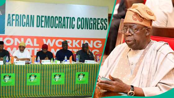 Gabanin 2027, ADC ta fada wa Tinubu maganar da za ta jefa masa tsoron 'yan adawa