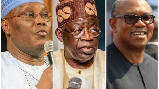 Da Dumi-Dumi: Tinubu Ya Karbe Jihar Ribas Daga Hannun Atiku Da Peter Obi