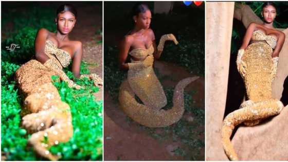Lady in shiny snake-like outfit poses like cobra for her birthday photoshoot, video goes viral & scares people