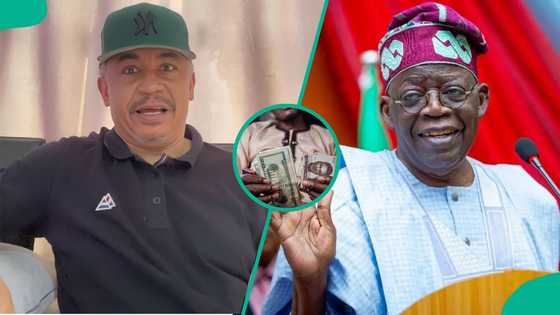 "City Boy is Working": Daddy Freeze Hails Tinubu, Raises Concern As Dollar Approaches N1,000