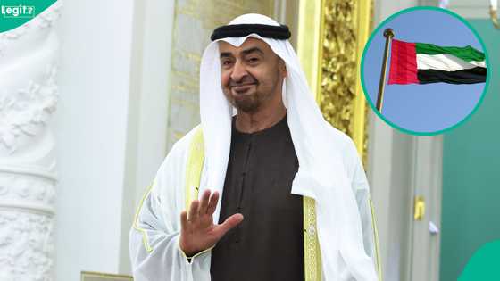 UAE explains how many years foreign scientists must work to be eligible for citizenship