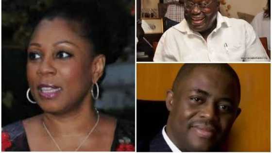 Fani-Kayode’s former wife appointed into Ghana President-elect's cabinet