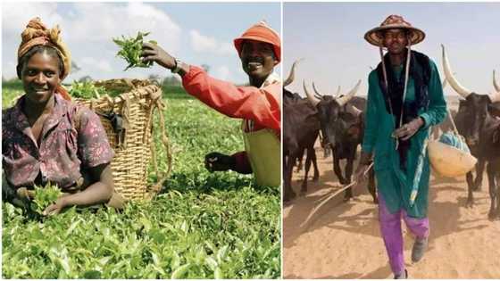 Herdsmen/farmers crisis: Group threatens to expose sponsors, drag them to ICC