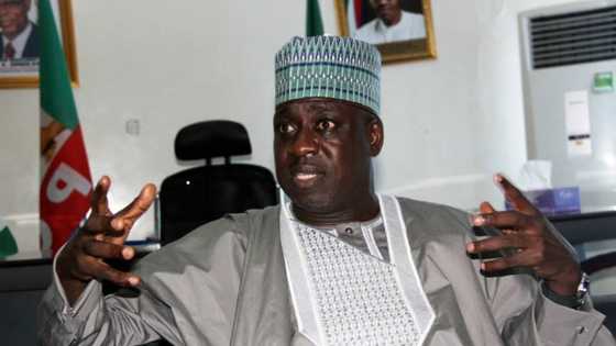 We didn’t win 2015 election with propaganda - APC insists