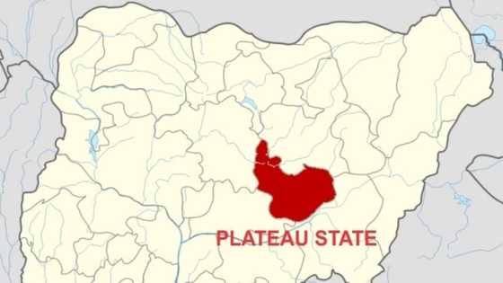 Just in: Suspected herdsmen kill 14 in fresh attack on Plateau village