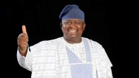 APC senator rejects cattle colony, calls for regional move against planned policy