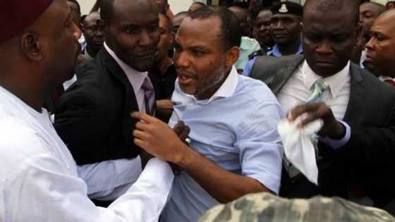 FG Instituting Unnecessary Legal Bottlenecks To Frustrate Us - Nnamdi Kanu's Lawyer