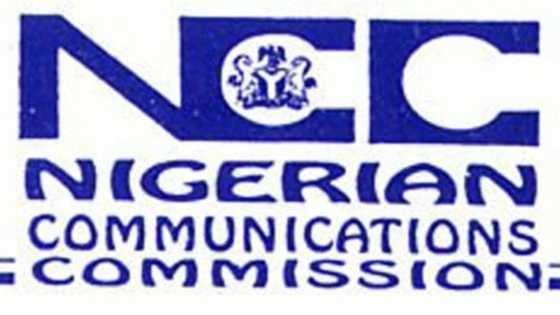 Beware: Doing this on the internet can send you to prison – NCC