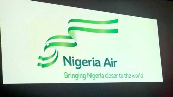 The name and logo can be amended - FG speaks on controversies surrounding national carrier