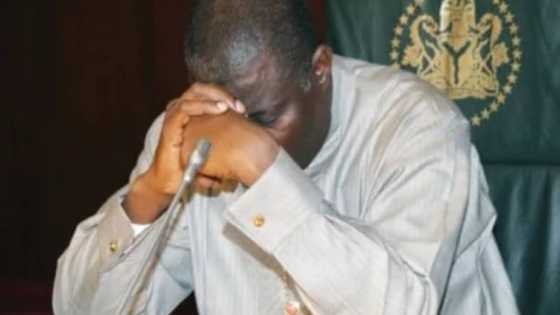 $2.1bn Arms Deal: Jonathan's Minister On The Run Over Ekiti, Osun Polls