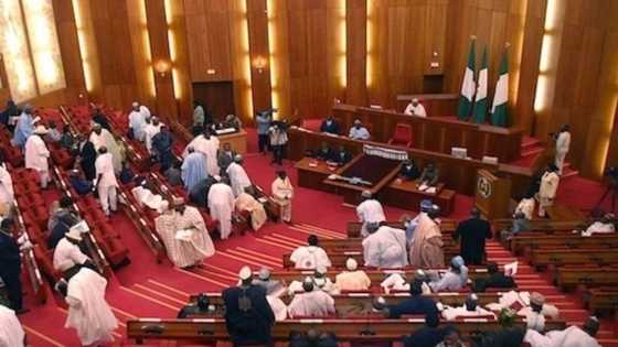 Cacar baki tare da nuna ma juna yatsa ya kaure tsakanin Dino Melaye da Akpabio