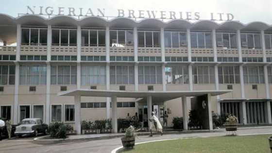 Nigerian Breweries moves to buy company that makes Amarula after offer from Heineken