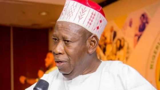 This will not go unpunished: Kano vows to secure justice for Hanifa