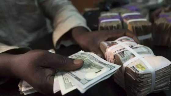 Tun bayan daina sayarwa yan canji Dala: Farashin Naira ya fadi karo na biyu