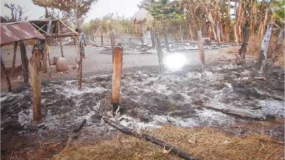 SAD! Farmers now burn their farmlands to prevent Fulani herdsmen from grazing