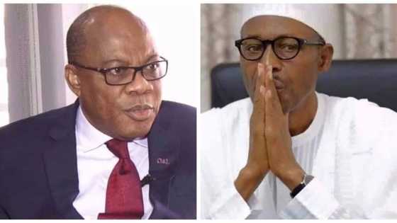 Why restructuring will not solve Nigeria’s problems - Olisa Agbakoba