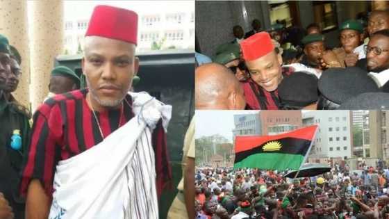 EXCLUSIVE: How I want to be released - Nnamdi Kanu