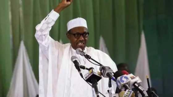 10 fantastically unbelievable campaign promises Buhari made