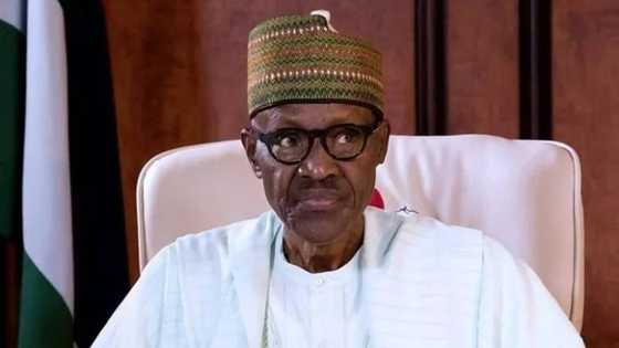 Dattawan Arewa ku sani cewa Buhari bashi da na biyu a zaben 2019 - Kungiyar Siyasa