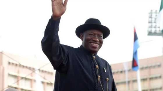 2023: Northern group throws its weight behind Goodluck Jonathan