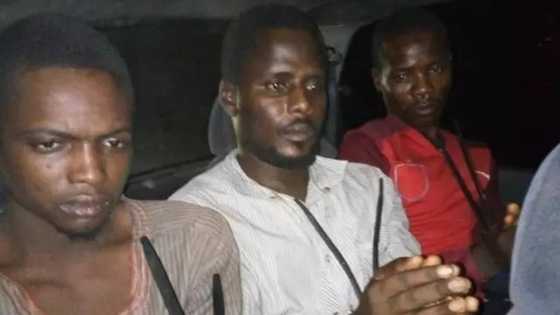 Yanzu Yanzu: An kama dan kungiyar Boko Haram da aka dade an nema tare da wasu mutane 3 (hoto)