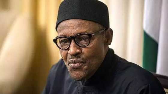Buhari's health: It’s high time the president said something so that suspicion will die down – Bishop Ezeokafor