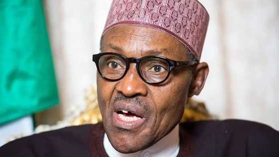 Breaking: Buhari moves against 184 top officials over budget padding