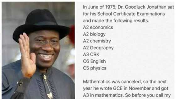 Goodluck Jonathan's SSCE results released (photo)