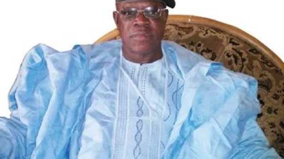 Powerful monarch talks tough over unruly invasion of palace by 'area boys', confirms next action