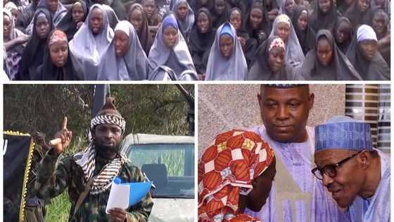 Revealed: Details of why 82 Chibok girls gained freedom have emerged