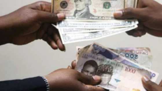 Darajar Naira na kara karfi