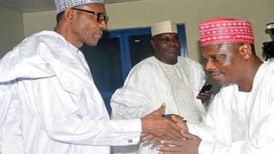 Ba don Kwankwaso ba da ‘Yan Boko Haram sun kashe Buhari a 2013