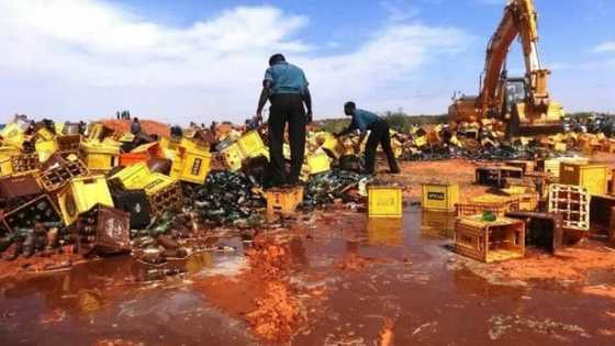 Stop drinking: Hisbah confiscates 8,400 bottles of beer in Kano state