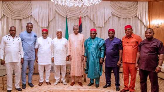 2019: Kungiyar 'yan kasuwar kabilar Igbo sun ziyarci Buhari, hotuna