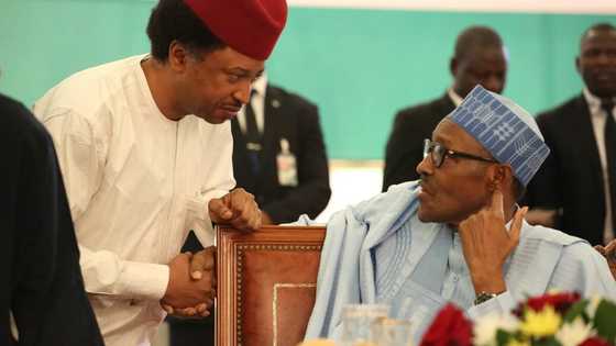 Abinda ya hana ni ficewa daga jam'iyyar APC - Shehu Sani