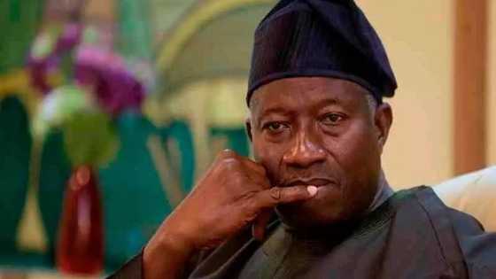 Osita Chidoka speaks on rumoured Goodluck Jonathan's 2023 presidential ambition