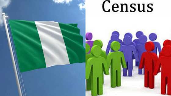 9 reasons why population census is postponed in Nigeria