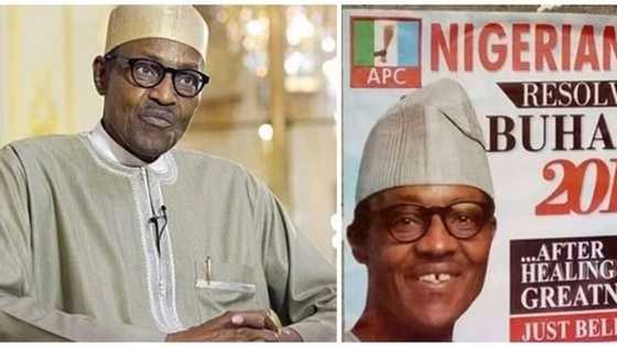APC chieftain 'reveals' why President Buhari should step-down in 2019