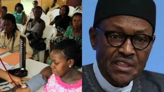 How Buhari has remained a 'hero' even in sickness - Analyst