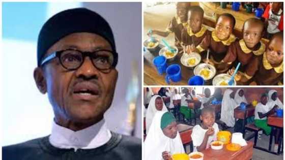 Buhari fulfils another campaign promise, releases N375m to feed 700,000 primary school pupils for 10 days