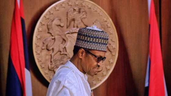 2019: How Buhari should handle defeat by Buchi Obichie (Opinion)